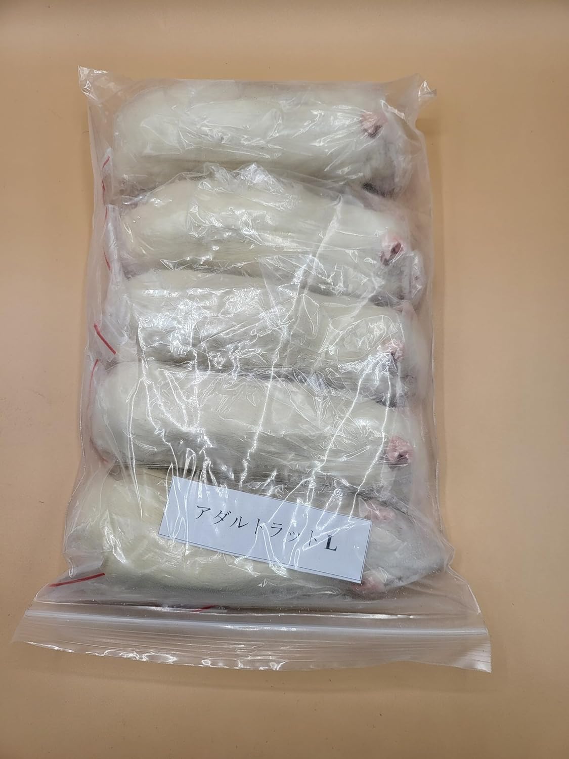 冷凍ラット アダルトL (180~220g) 30匹 まとめ売り 公式通販